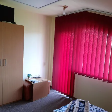 Casa Cu Flori * Barsau