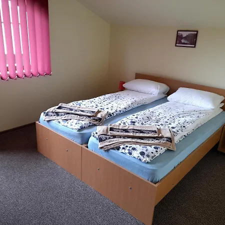 Homestay Casa Cu Flori Barsau