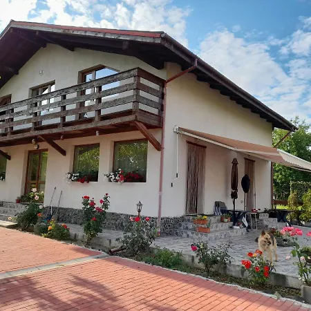 Casa Cu Flori Barsau