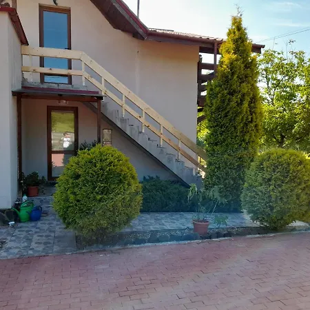 Casa Cu Flori * Barsau