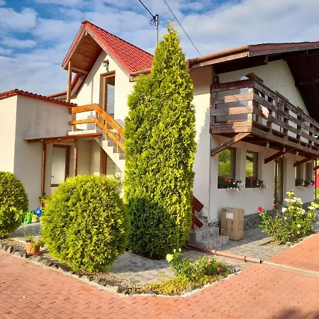 Casa Cu Flori Homestay