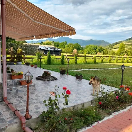 Casa Cu Flori
