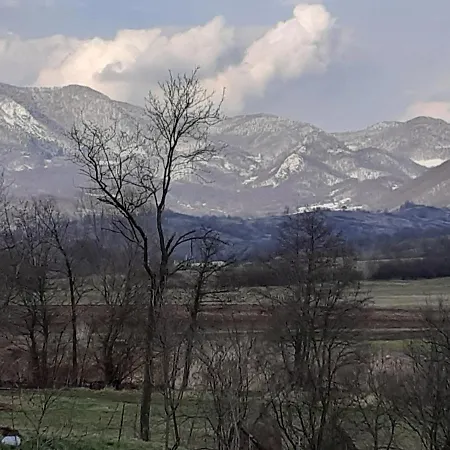 Casa Cu Flori *