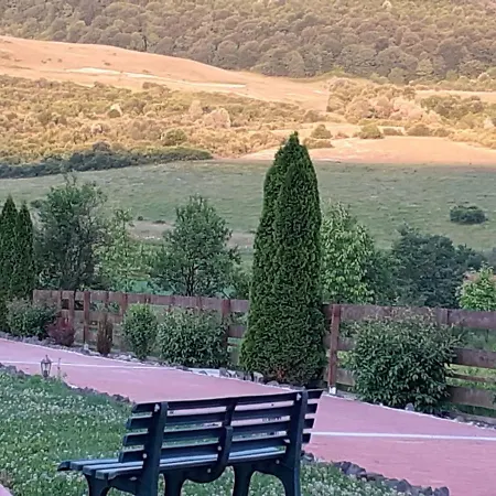 Casa Cu Flori Barsau