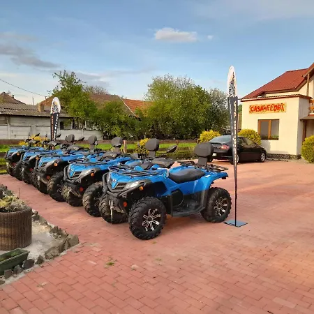 Casa Cu Flori * Barsau