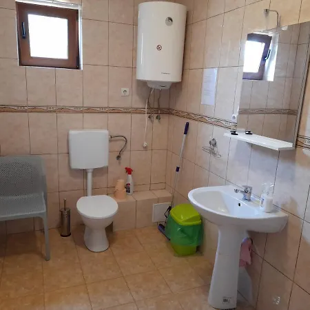 Casa Cu Flori Homestay *