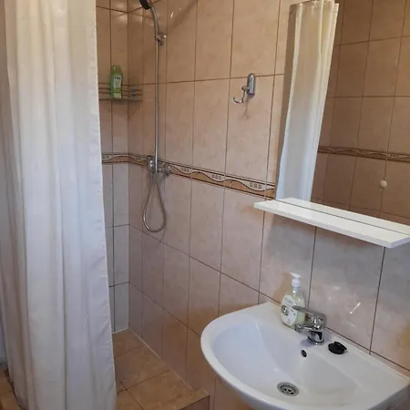 Casa Cu Flori Homestay Barsau